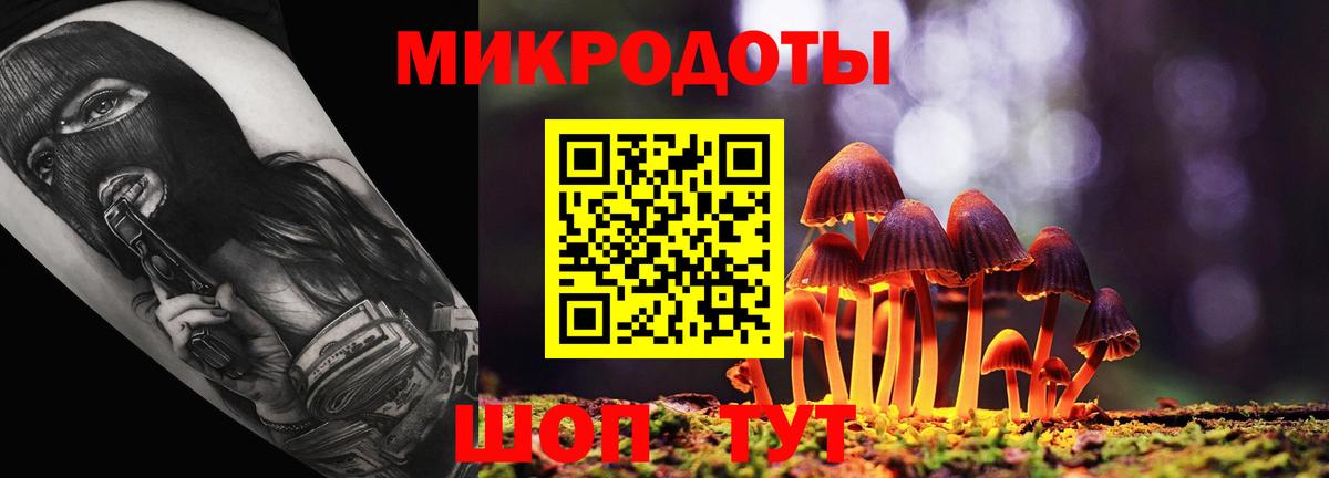 Псилоцибиновые грибы Psilocybine cubensis Нефтеюганск